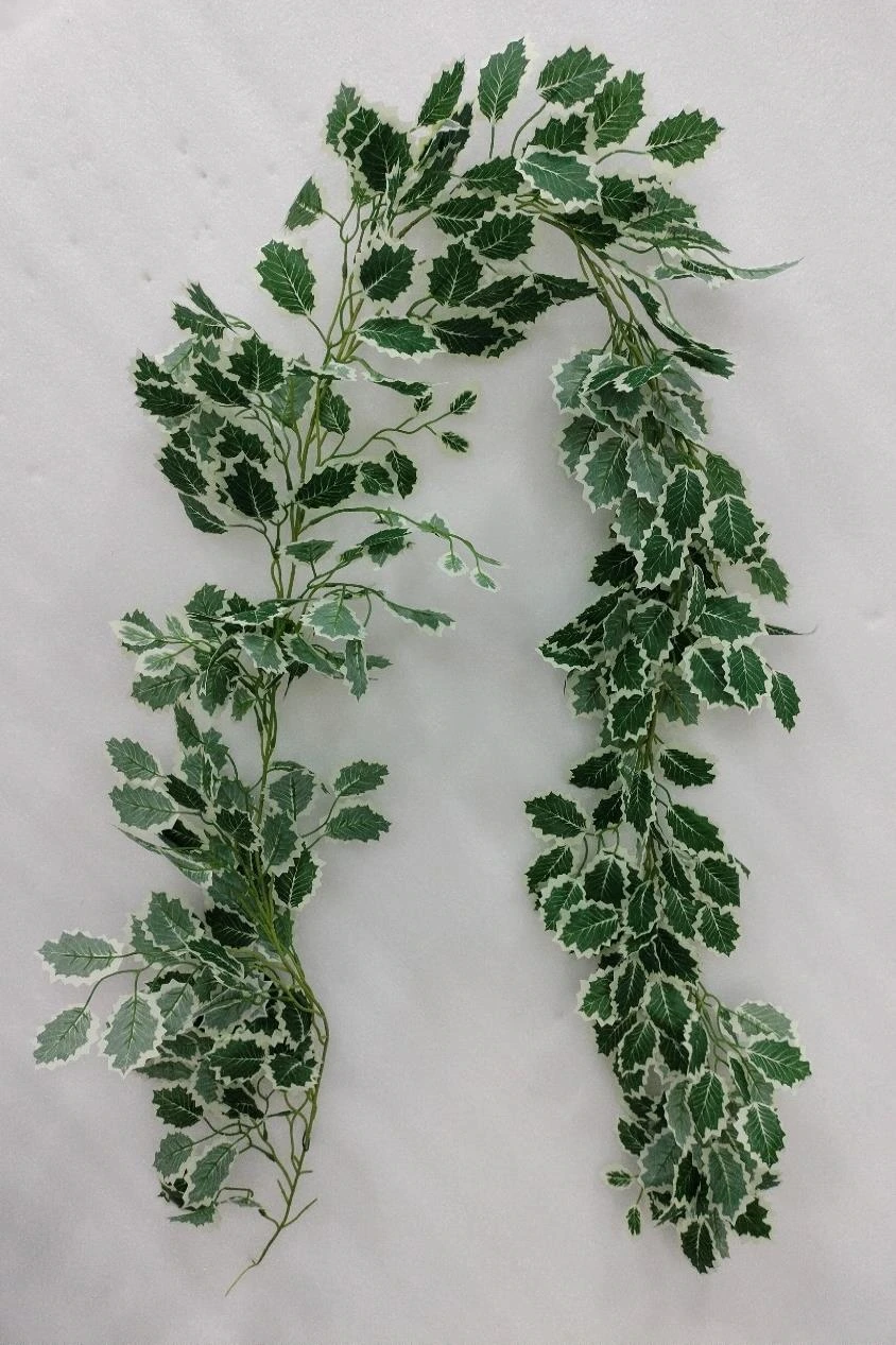 Ficus Christmas Leaf 1x3 Creeper 180cm